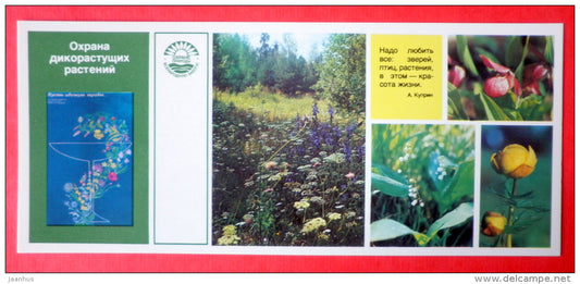 protection of wild plants - globe-flower - orchid - Nature Conservation - 1984 - USSR Russia - unused - JH Postcards