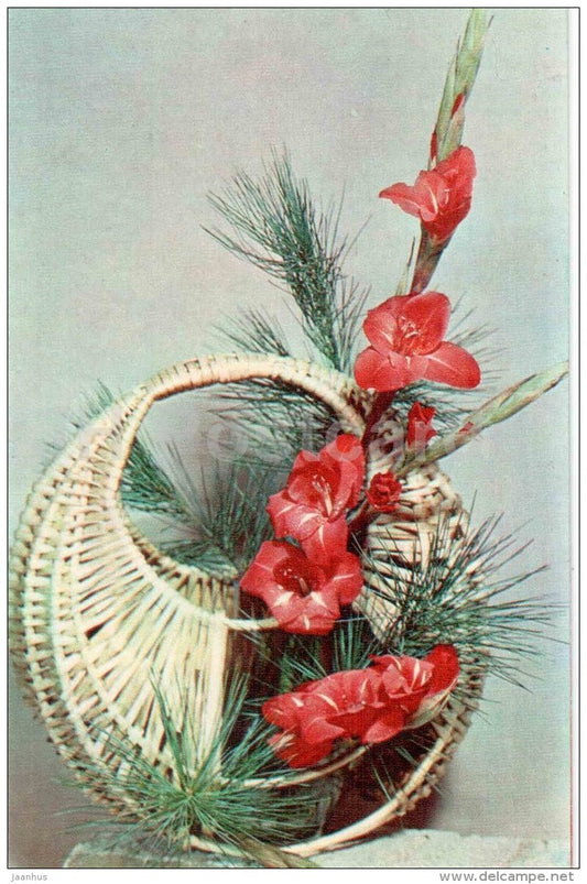 red gladiolus - flowers - basket - ikebana - composition - Winter Motives - 1976 - Russia USSR - unused - JH Postcards