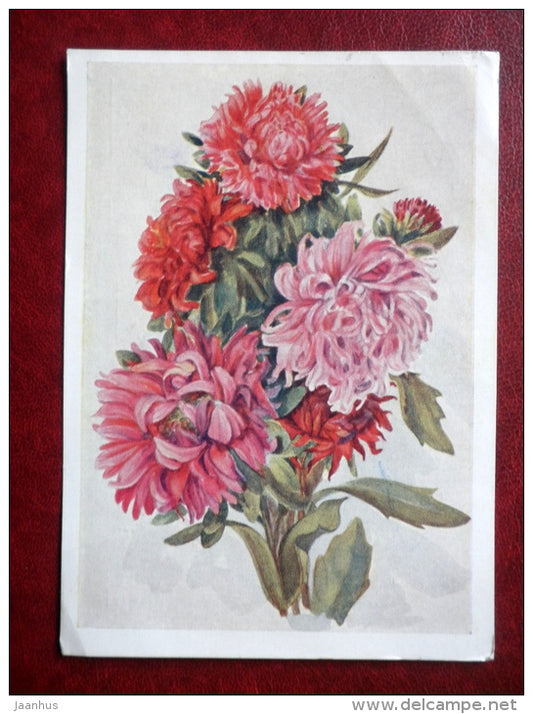 Greeting Card - by V. Morozova - aster - flowers - 1959 - Russia USSR - used - JH Postcards