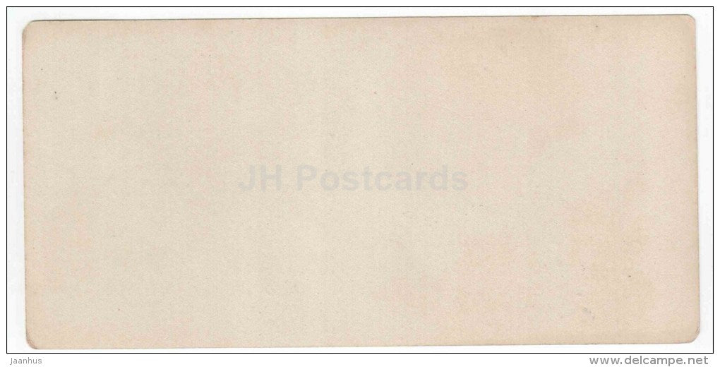 Route militaire Grousine - Lars station - Caucasus - Georgia - stereo photo - stereoscopique - old photo - JH Postcards