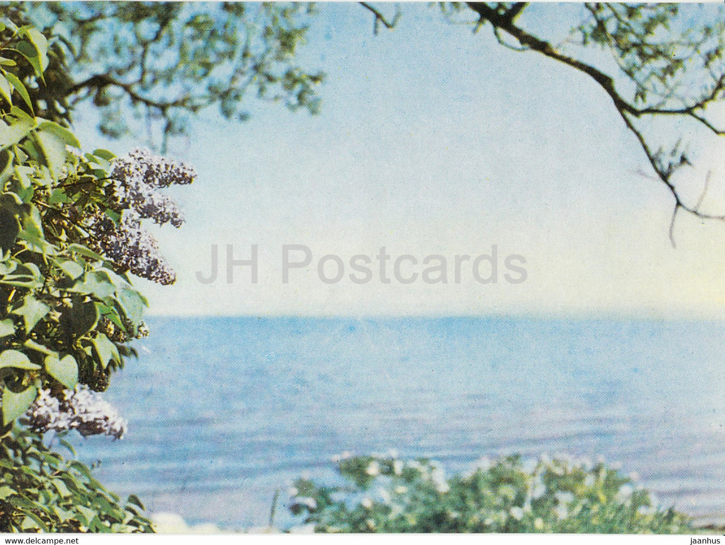 Jurmala - Sea Coast in Engure - Latvia USSR - unused - JH Postcards