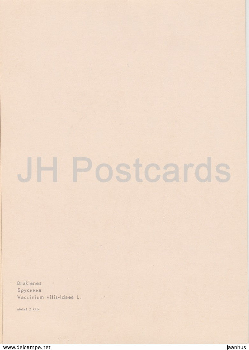 Lingonberry - Vaccinium vitis-idaea - plants - Latvia USSR - unused