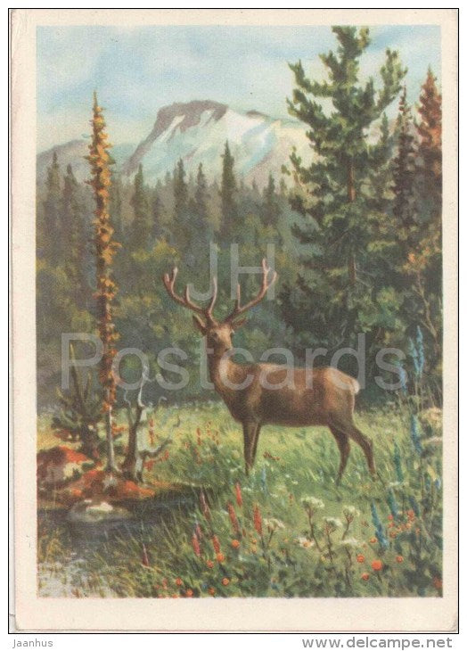 painting by A. Sementsov-Ogiyevsky - Altai . Siberian stag - russian art - unused - JH Postcards