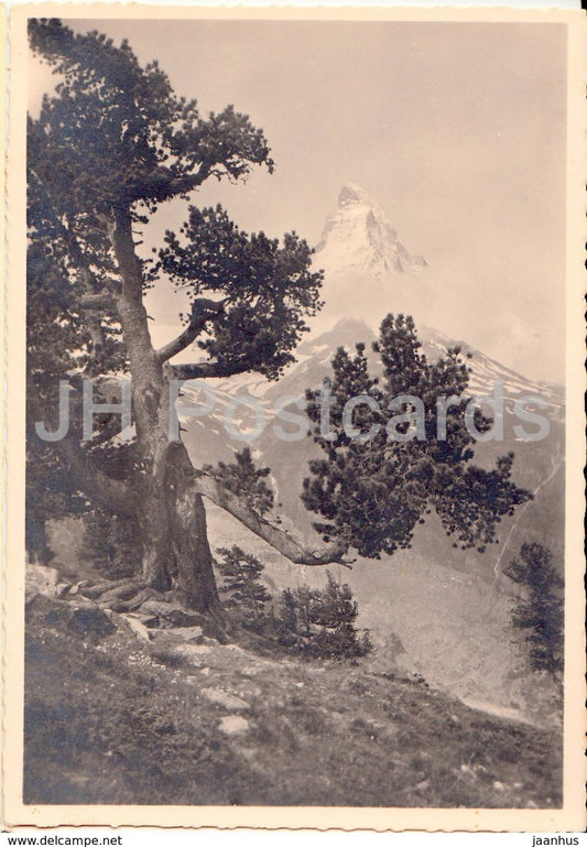 Zermatt - old postcard - Switzerland - used - JH Postcards