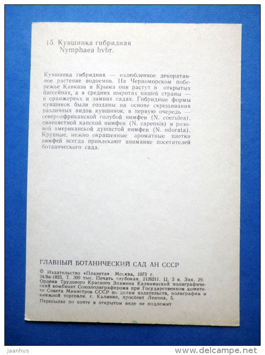 Nymphaea hybr - water lily - flowers - Botanical Garden of the USSR - 1973 - Russia USSR - JH Postcards
