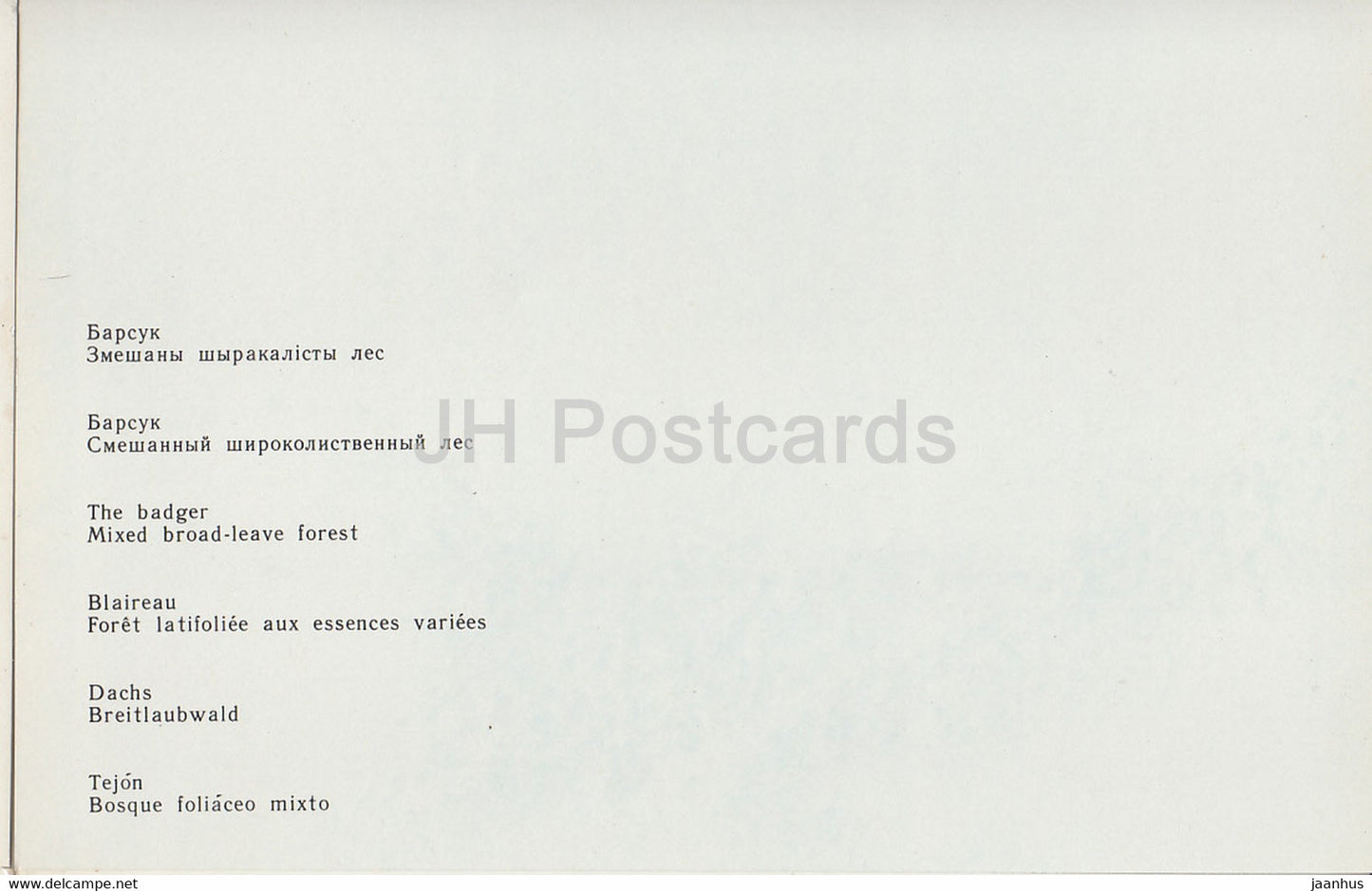 Belovezhskaya Pushcha National Park - European badger - Meles meles - 1981 - Berarus USSR - unused