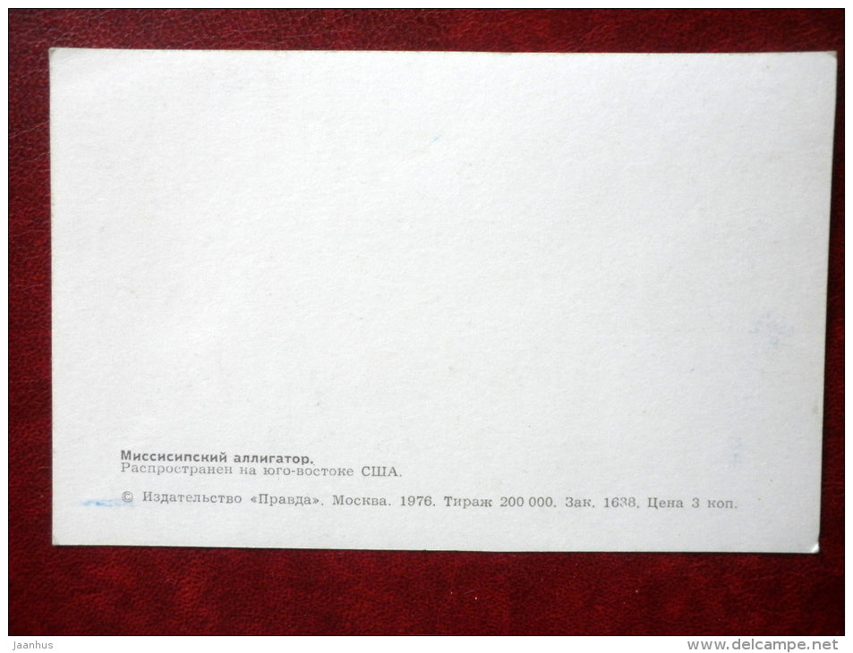 American alligator - Alligator mississippiensis - reptile - 1976 - Russia USSR - unused - JH Postcards