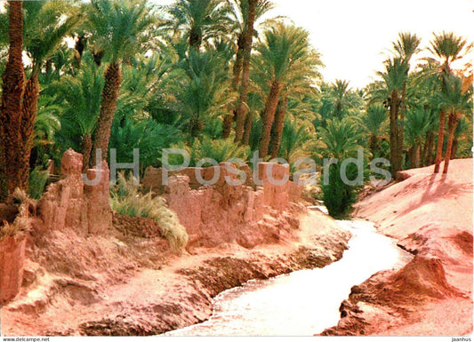 Typical Morocco - South Morocco - 38 - Morocco - used - JH Postcards