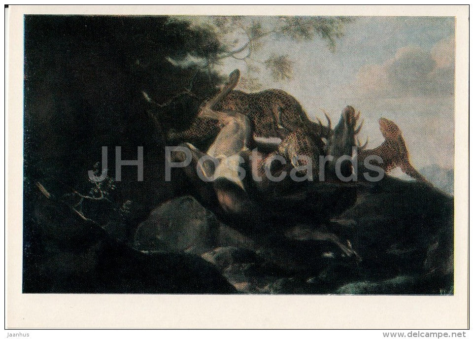 painting by Carl Andreas Ruthart - Cheetahs torturing deer , 1679 - Dutch art - 1982 - Russia USSR - unused - JH Postcards