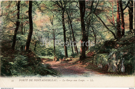 Foret de Fontainebleau - La Gorge aux Loups - 43 - old postcard - France - unused - JH Postcards