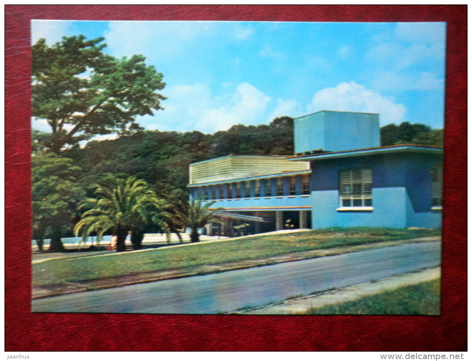 Balneario San Diego de los Banos - San Diego Spa of Bath - palm - provincia Pinar del Rio - Cuba - unused - JH Postcards