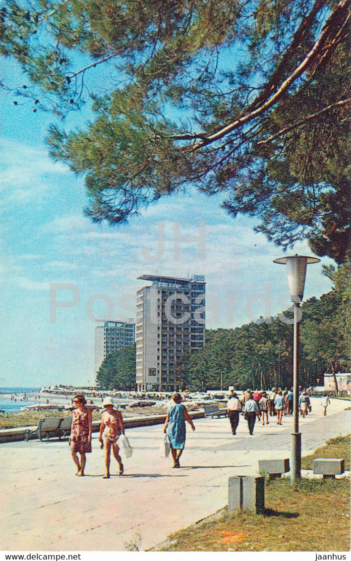 Pitsunda resort - Abkhazia - 1974 - Georgia USSR - unused - JH Postcards
