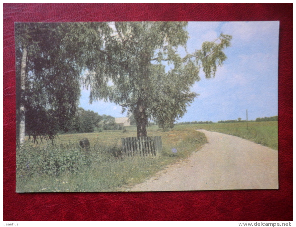 The historical birch in Mahtra - Places Connected to writer Eduard Vilde - 1975 - Estonia USSR - unused - JH Postcards