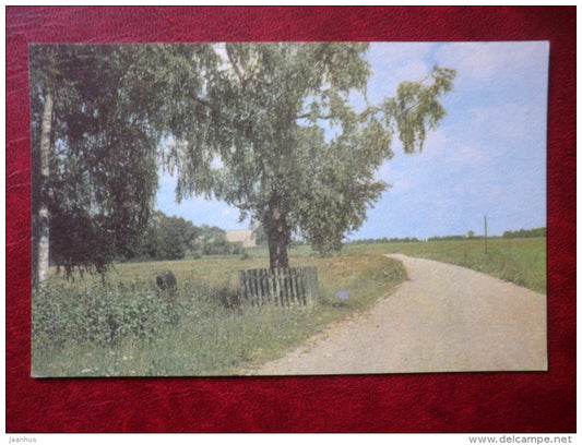 The historical birch in Mahtra - Places Connected to writer Eduard Vilde - 1975 - Estonia USSR - unused - JH Postcards