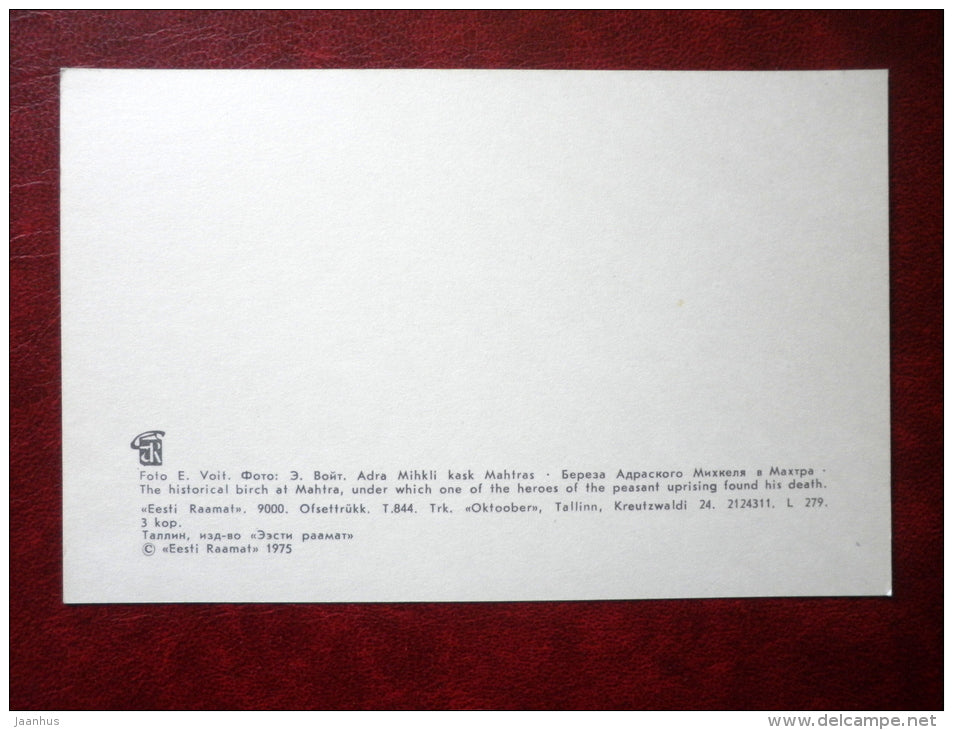 The historical birch in Mahtra - Places Connected to writer Eduard Vilde - 1975 - Estonia USSR - unused - JH Postcards