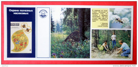 protection of beneficial insects - ants - Nature Conservation - 1984 - USSR Russia - unused - JH Postcards