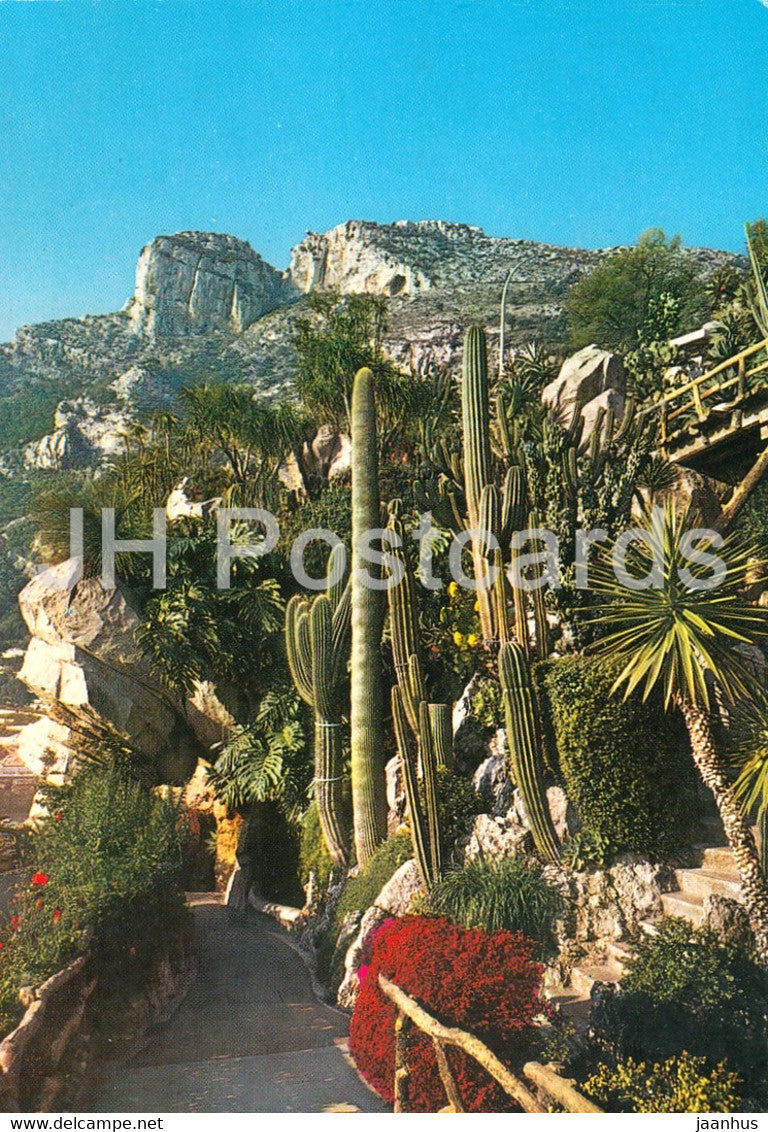 Principaute de Monaco - Le Jardin Exotique - cactus - Monaco - unused - JH Postcards