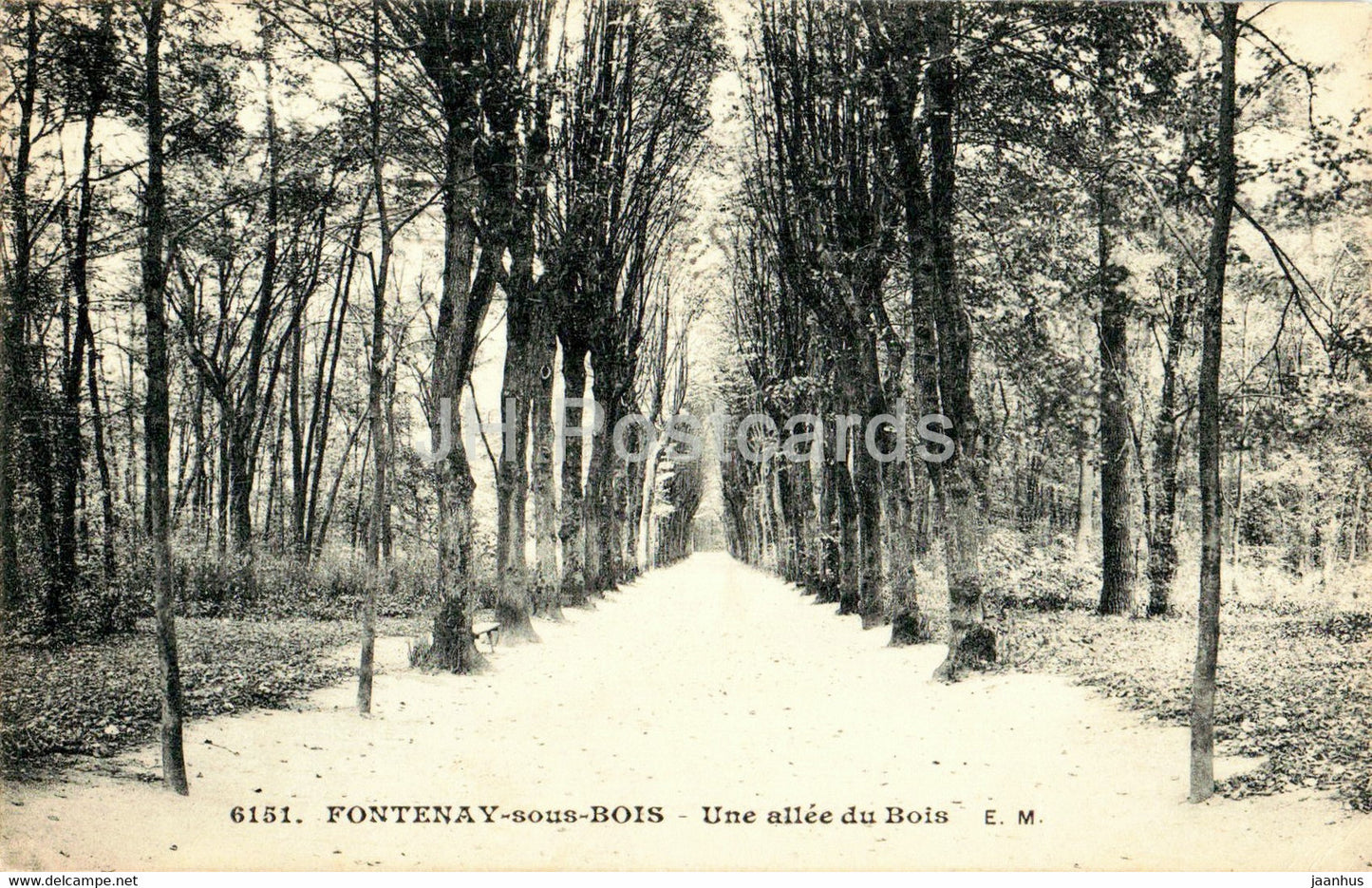 Fontenay sous Bois - Une allee du Bois - 6151 - old postcard - 1915 - France - used - JH Postcards