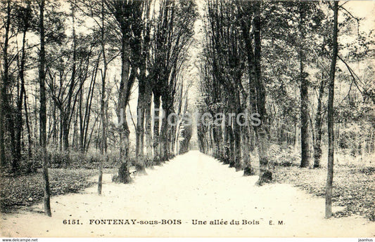 Fontenay sous Bois - Une allee du Bois - 6151 - old postcard - 1915 - France - used - JH Postcards