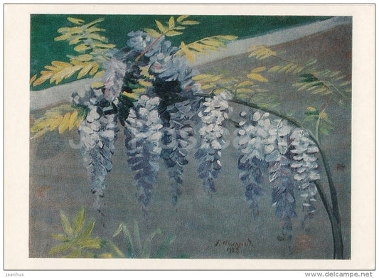 painting by M. Saryan - Wisteria , 1923 - flowers - Armenian art - 1985 - Russia USSR - unused - JH Postcards