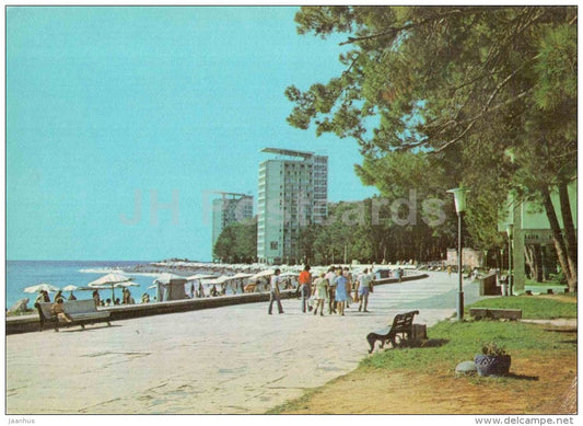 Pitsunda - Abkhazia - Aeroflot - Georgia USSR - unused - JH Postcards