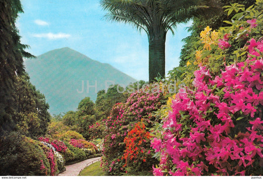 Lago di Como - Fioritura di azalee nel parco di Villa Carlotta - Azalea Blossoms at Villa - Italy - Italia - unused - JH Postcards