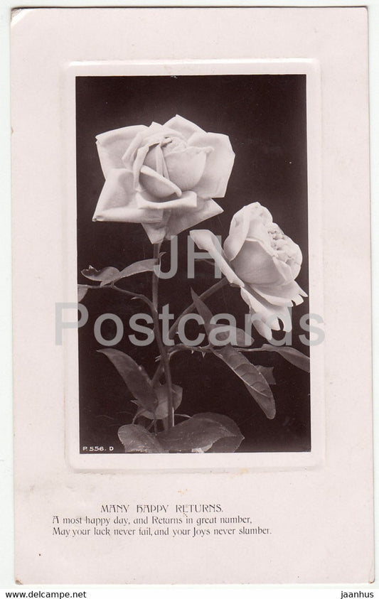 Birthday Greeting Card - Many Happy Returns - white roses - P 556 - old postcard - 1908 - United Kingdom - used - JH Postcards
