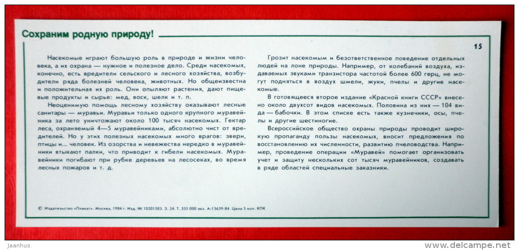 protection of beneficial insects - ants - Nature Conservation - 1984 - USSR Russia - unused - JH Postcards