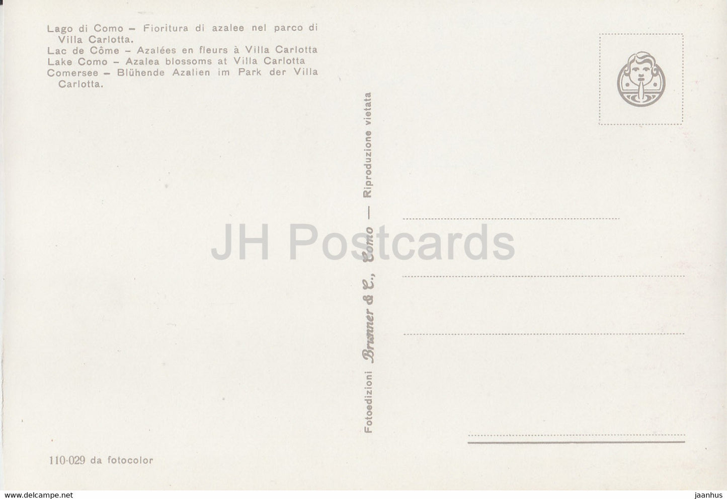 Lago di Como - Fioritura di azalee nel parco di Villa Carlotta - Azalea Blossoms at Villa - Italy - Italia - unused