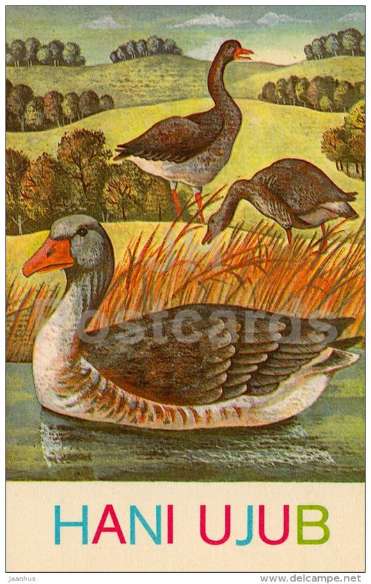 Goose - I am Reading - Teaching reading to children by J. Tammsaar - 1980 - Estonia USSR - unused - JH Postcards