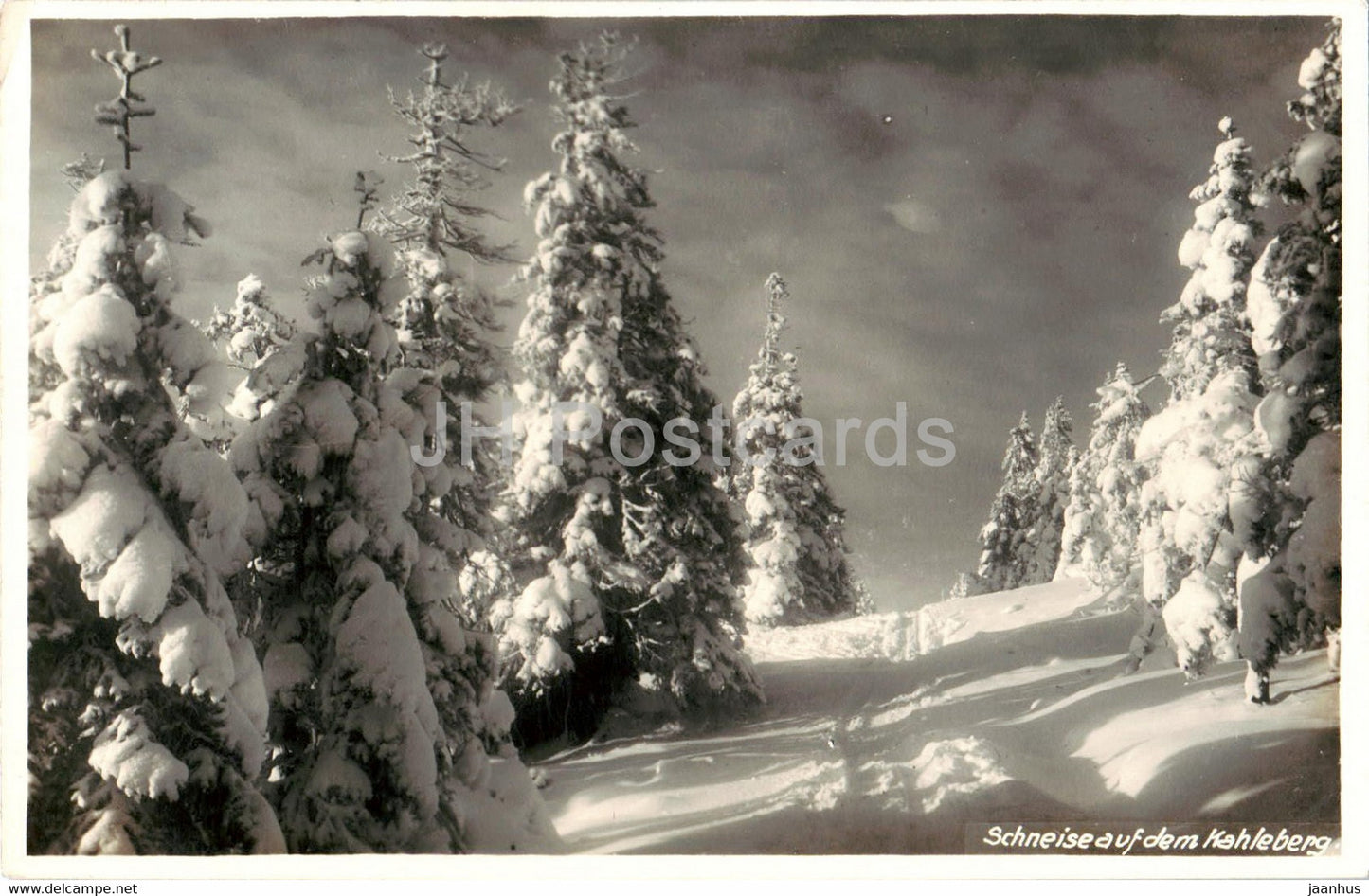Schneise auf dem Kahleberg - old postcard - 1932 - Germany - used - JH Postcards