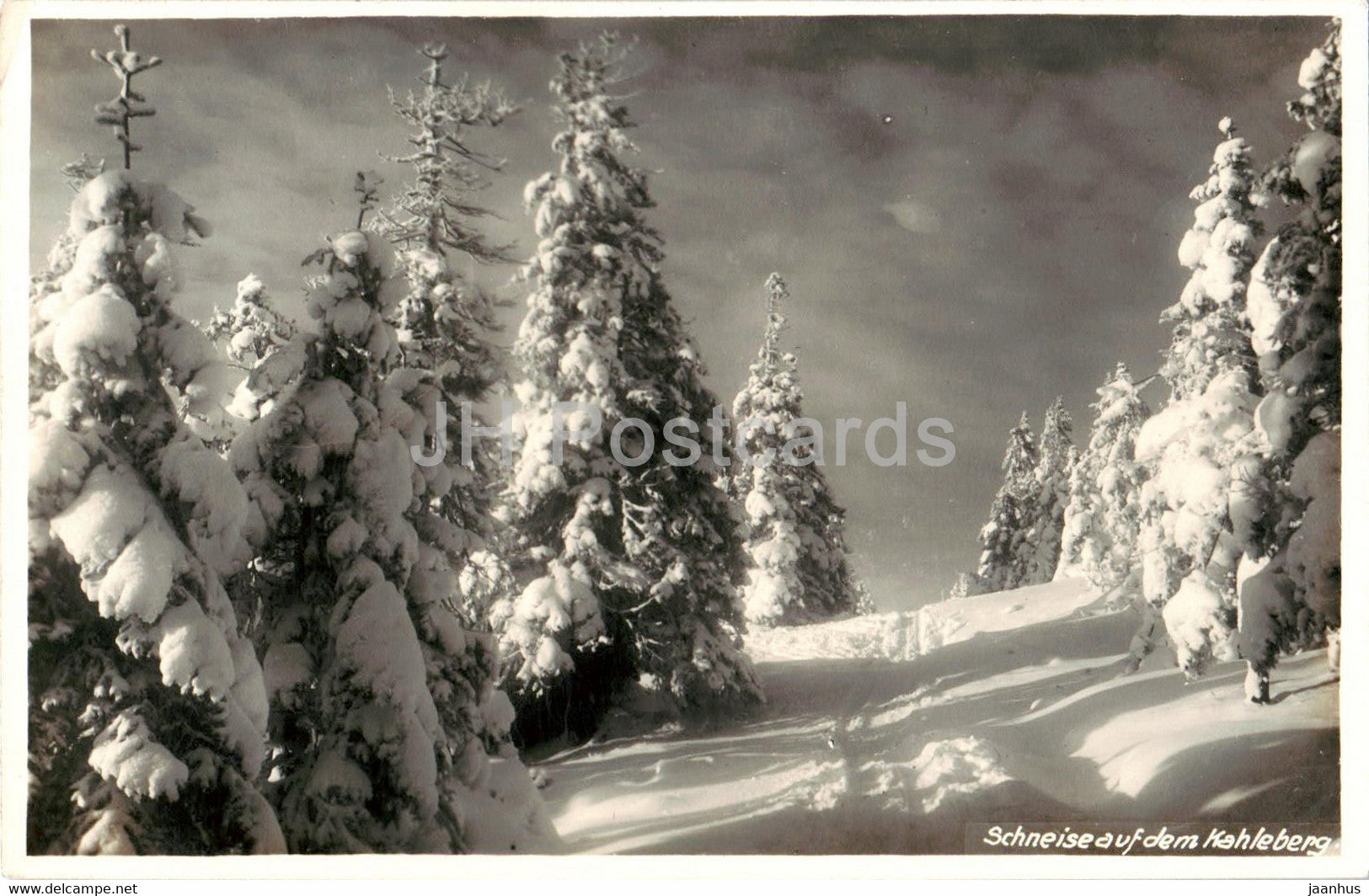 Schneise auf dem Kahleberg - old postcard - 1932 - Germany - used - JH Postcards