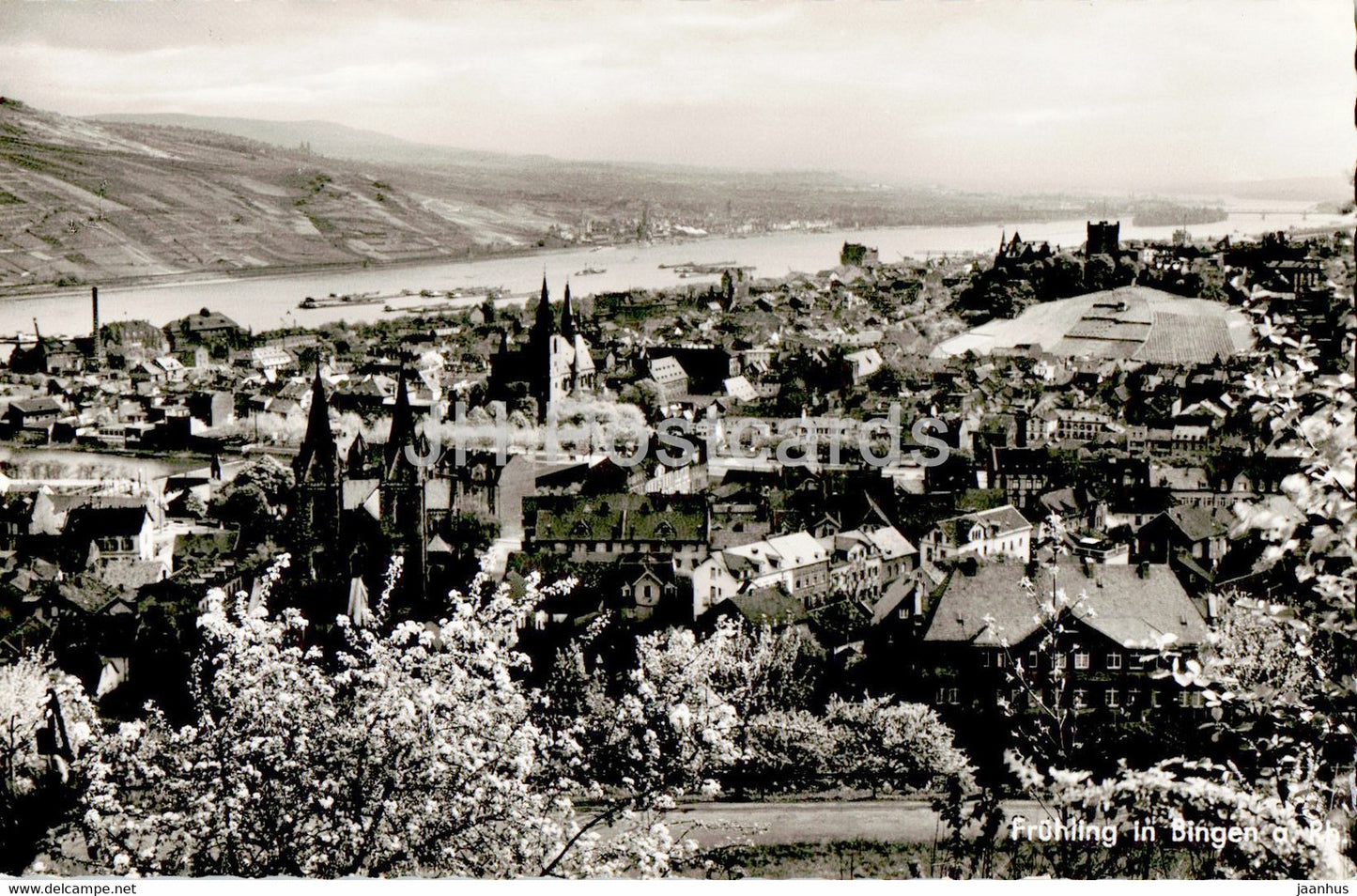 Fruhling in Bingen am Rhein - old postcard - Germany - unused - JH Postcards