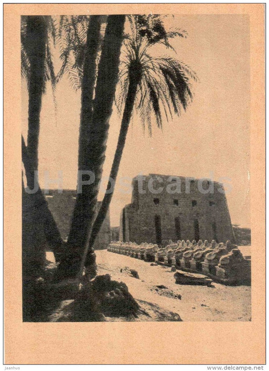 The Avenue of Sphinxes in Karnak , II Millennium BC - Egypt - Ancient East Architecture - 1964 - Estonia USSR - unused - JH Postcards