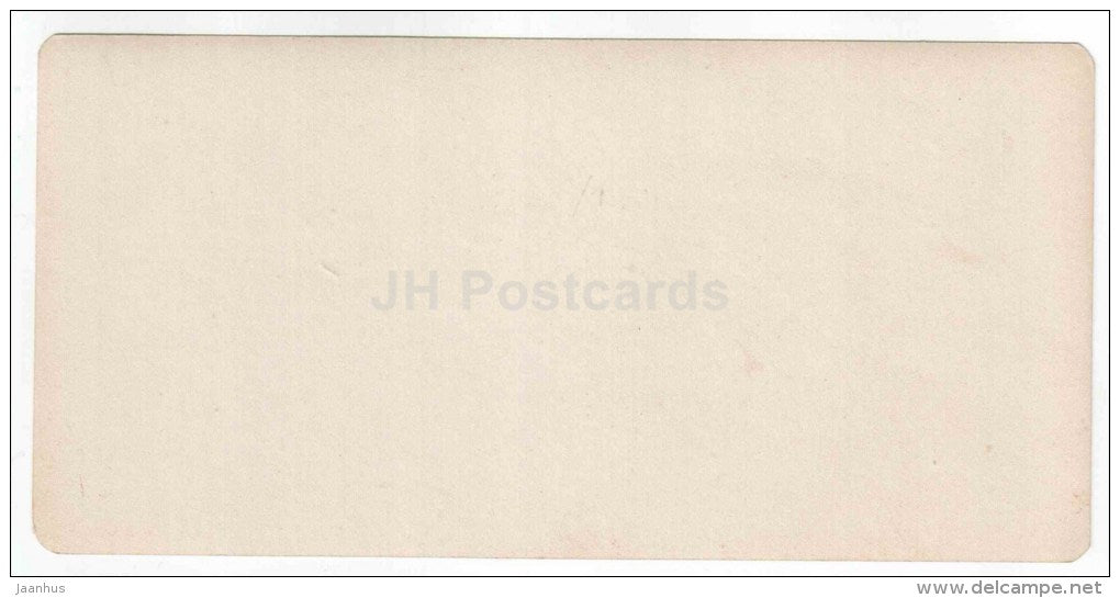 Route militaire Grousine - glacier de Dewdorak - Caucasus - Georgia - stereo photo - stereoscopique - old photo - JH Postcards