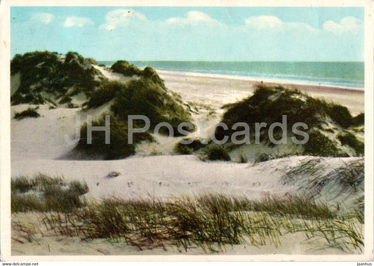 Strandparti - 405 - 1965 - Denmark - used - JH Postcards