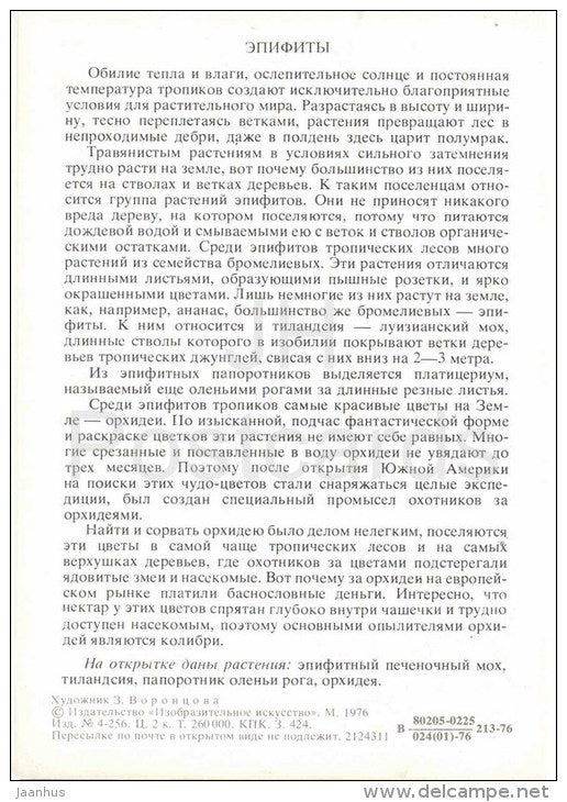 epiphytic liverworts - Epiphytes - Amazing Plants - 1976 - Russia USSR - unused - JH Postcards