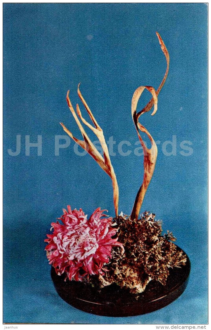 Chrysanthemum - ikebana - flower composition - Decorative Bouquets - 1969 - Russia USSR - unused - JH Postcards