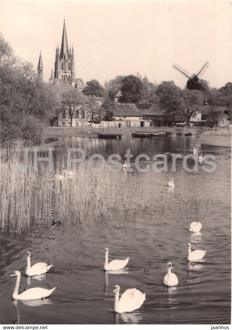 Werder - Havel - Inselansicht - swan - birds - Germany - unused - JH Postcards