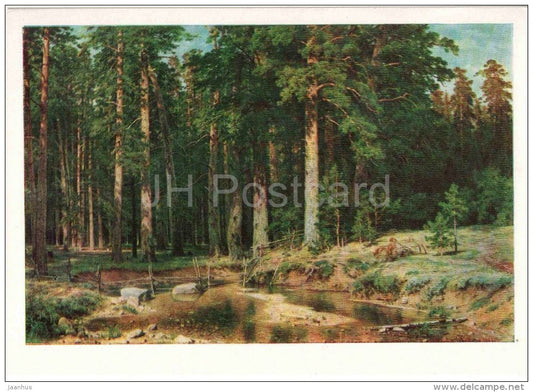 painting by I. Shishkin - Ships Grove , 1898 - russian art - unused - JH Postcards
