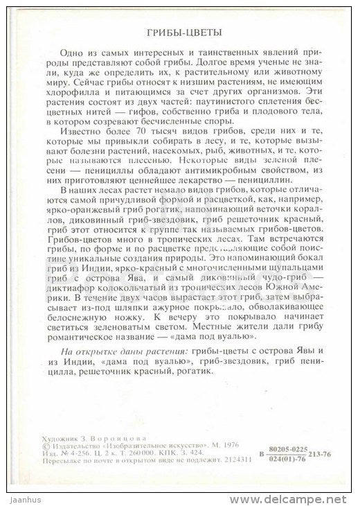 Ramaria stricta - penicillum fungi - fungus Geastrum - Mushrooms - Fowers - Amazing Plants - 1976 - Russia USSR - unused - JH Postcards