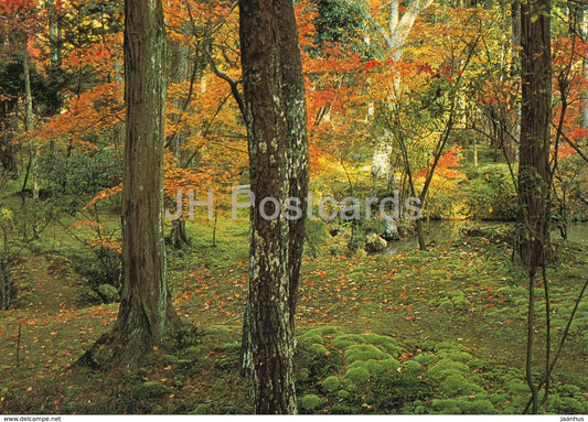 Kyoto - Moss Garden of Saiho-Ji - Japan - unused - JH Postcards