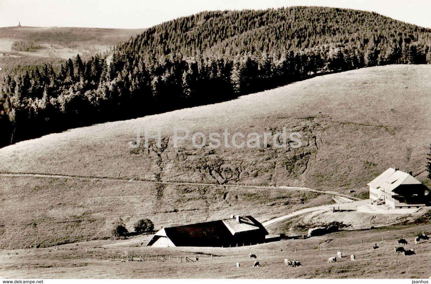 Berggasthof Pension Gisiboden - Blick zum Feldberg - old postcard - Germany - used - JH Postcards