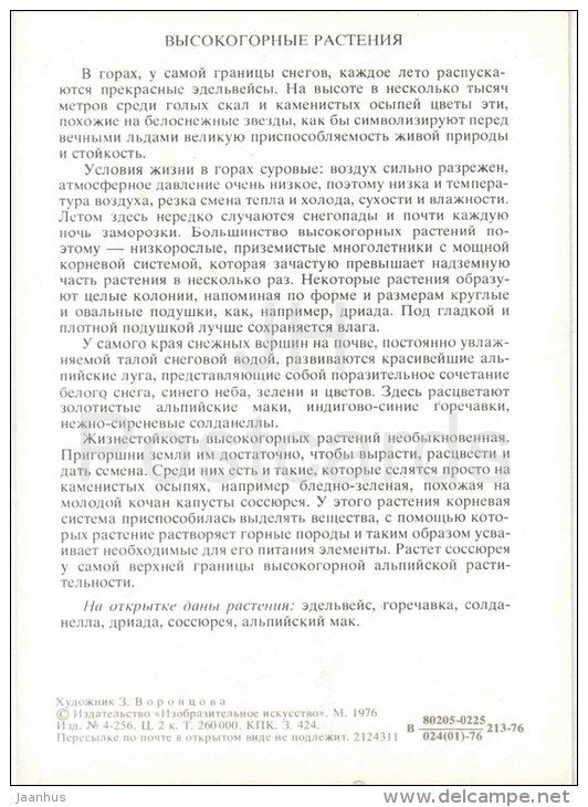 Alpine poppy - soldanella - gentian - edelweiss - Alpine Plants - Amazing Plants - 1976 - Russia USSR - unused - JH Postcards
