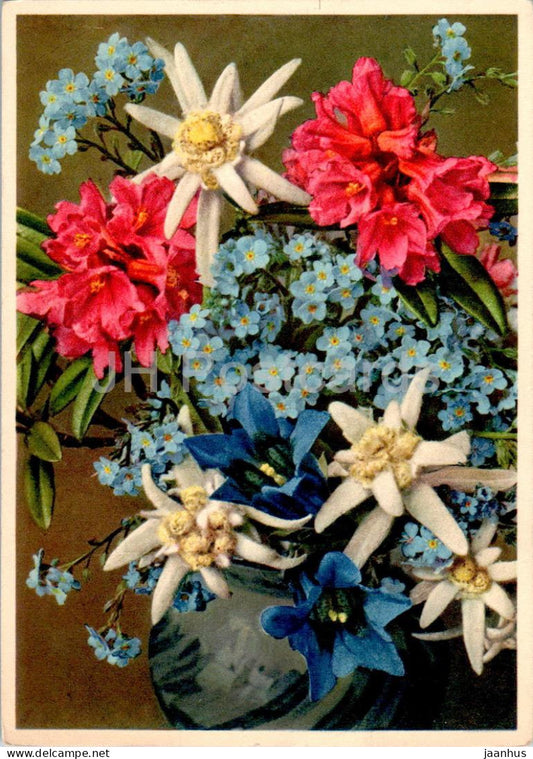 Alpenblumen - Fleurs des Alpes - Alpine Flowers - 1429 - old postcard - flowers - Switzerland - unused