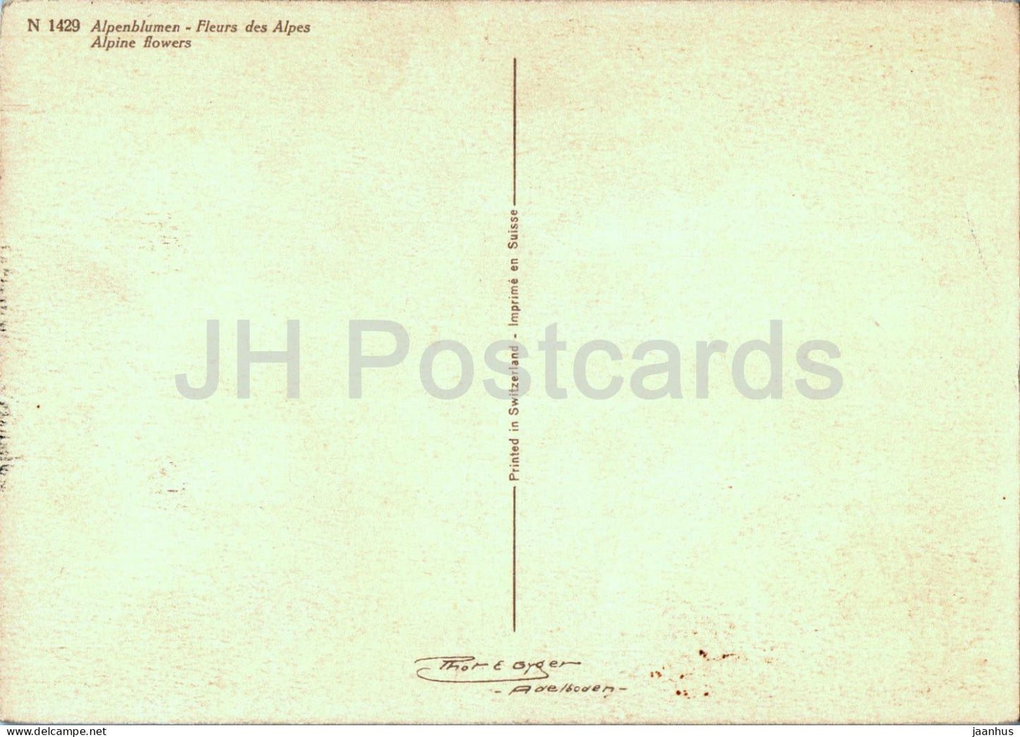 Alpenblumen - Fleurs des Alpes - Fleurs alpines - 1429 - carte postale ancienne - fleurs - Suisse - inutilisé 