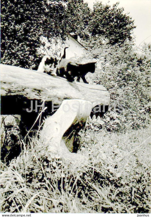 Strz - Czech writer Karel Capek House - kittens - bench - cat - animals museum - Czech Repubic - Czechoslovakia - unused - JH Postcards