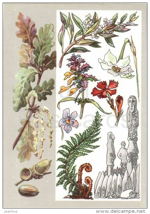 fern - violet - carnation - oak - olive - narcissus - Legendary plants - Amazing Plants - 1976 - Russia USSR - unused - JH Postcards