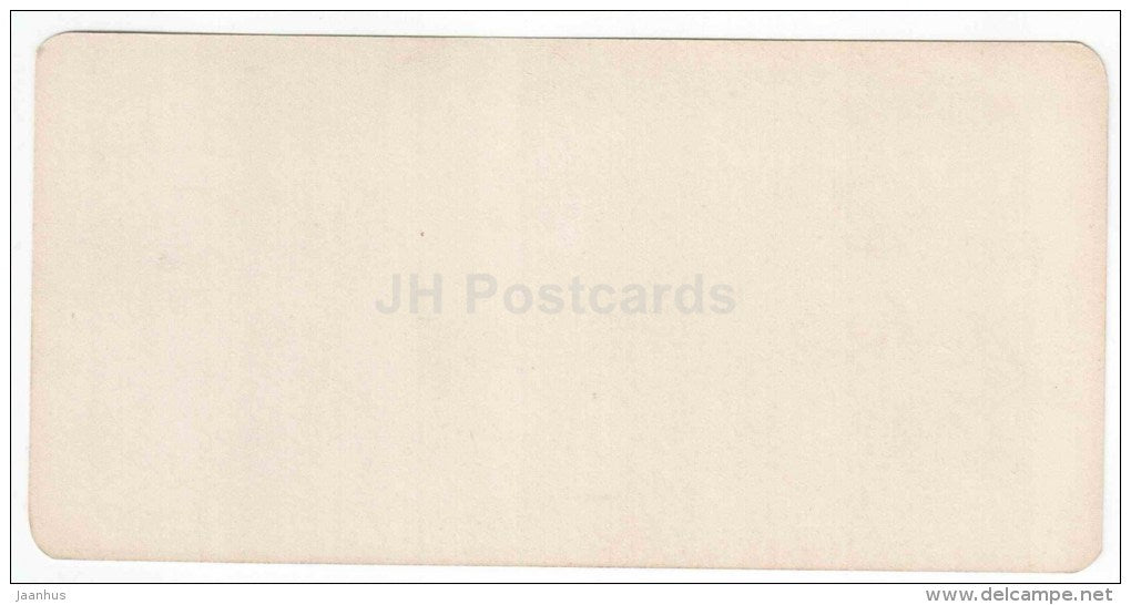 Route militaire Grousine - gorge de Darian - Caucasus - Georgia - stereo photo - stereoscopique - old photo - JH Postcards