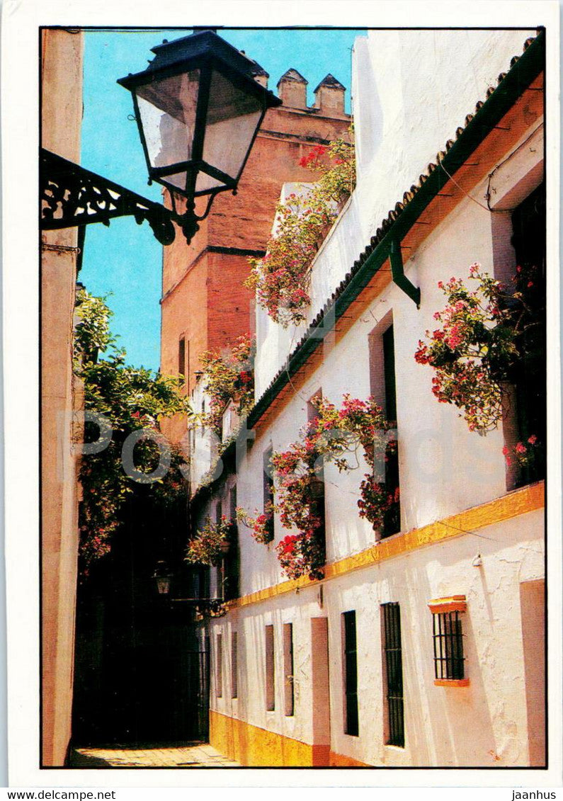 Sevilla - Calle Tipica - typical street - 10 - Spain - unused - JH Postcards